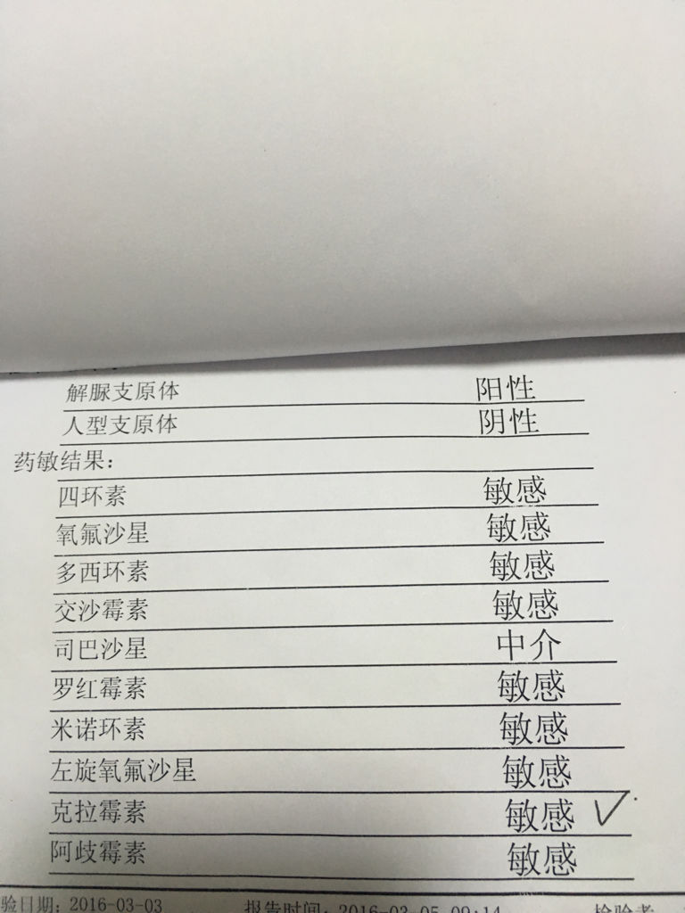 支原體陽性轉(zhuǎn)陰的時(shí)間，了解與應(yīng)對(duì)，支原體陽性轉(zhuǎn)陰的時(shí)間及應(yīng)對(duì)策略