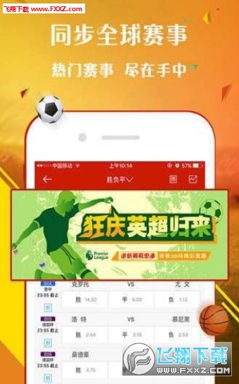 揭秘李天師平特一肖王中王的神秘面紗，李天師平特一肖王中王揭秘，神秘面紗下的真相探索