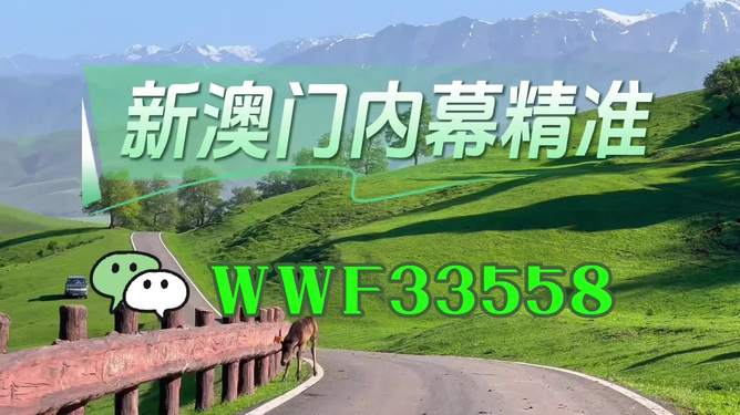 澳門精準免費大全，探索未來的預(yù)測與機遇（2025年展望），澳門未來展望，精準預(yù)測與機遇探索（2025年）