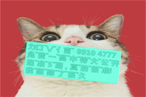 一肖啥意思，深度解析與SEO優(yōu)化文章，一肖含義深度解析與SEO優(yōu)化策略探討