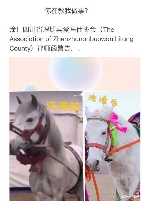 一馬爆特圖，揭秘背后的故事與SEO優(yōu)化策略，揭秘一馬爆特圖的背后故事與SEO優(yōu)化策略全攻略