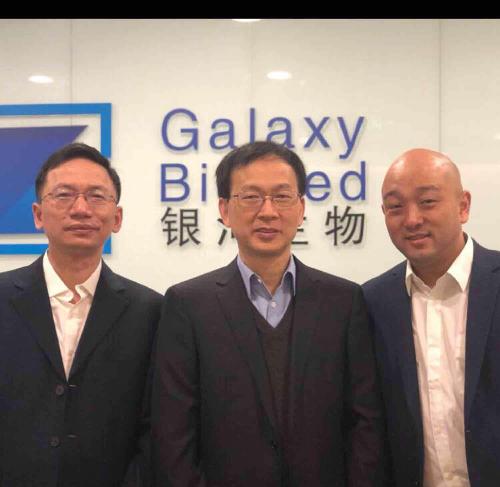 關(guān)于代碼000806的奧秘，深度解析與SEO優(yōu)化策略，代碼000806奧秘揭秘，深度解析與SEO優(yōu)化策略探討