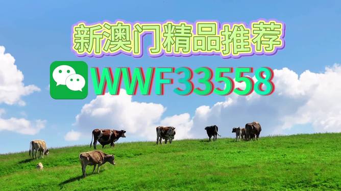 揭秘今晚9點(diǎn)30生肖運(yùn)勢，你的生肖運(yùn)勢如何？，揭秘今晚9點(diǎn)30生肖運(yùn)勢，你的生肖運(yùn)勢走向如何？