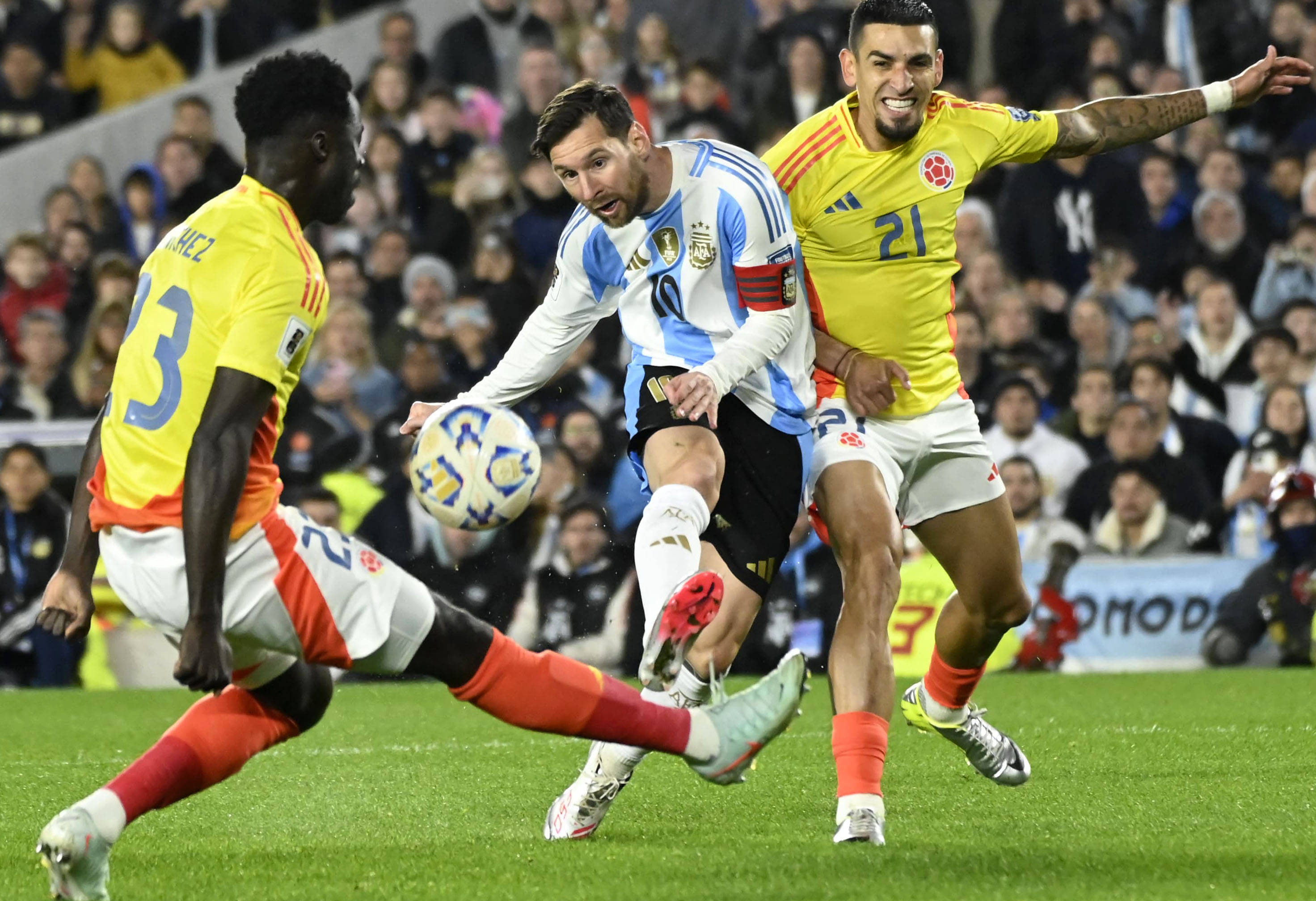 王中王077期一肖特種，深度解析與SEO優(yōu)化策略，王中王077期生肖特種深度解析與SEO優(yōu)化策略探討