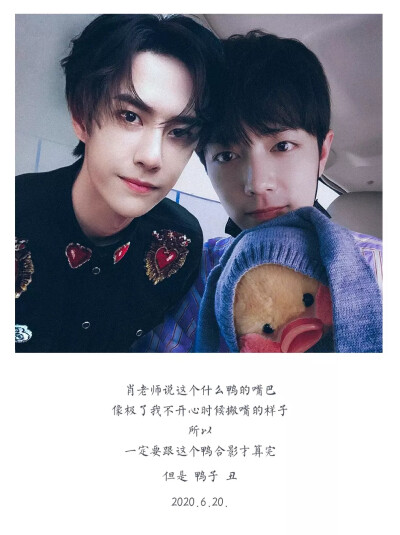 王中王一肖資料一肖王，深度解析與SEO優(yōu)化文章，王中王一肖資料深度解析與SEO優(yōu)化策略探討