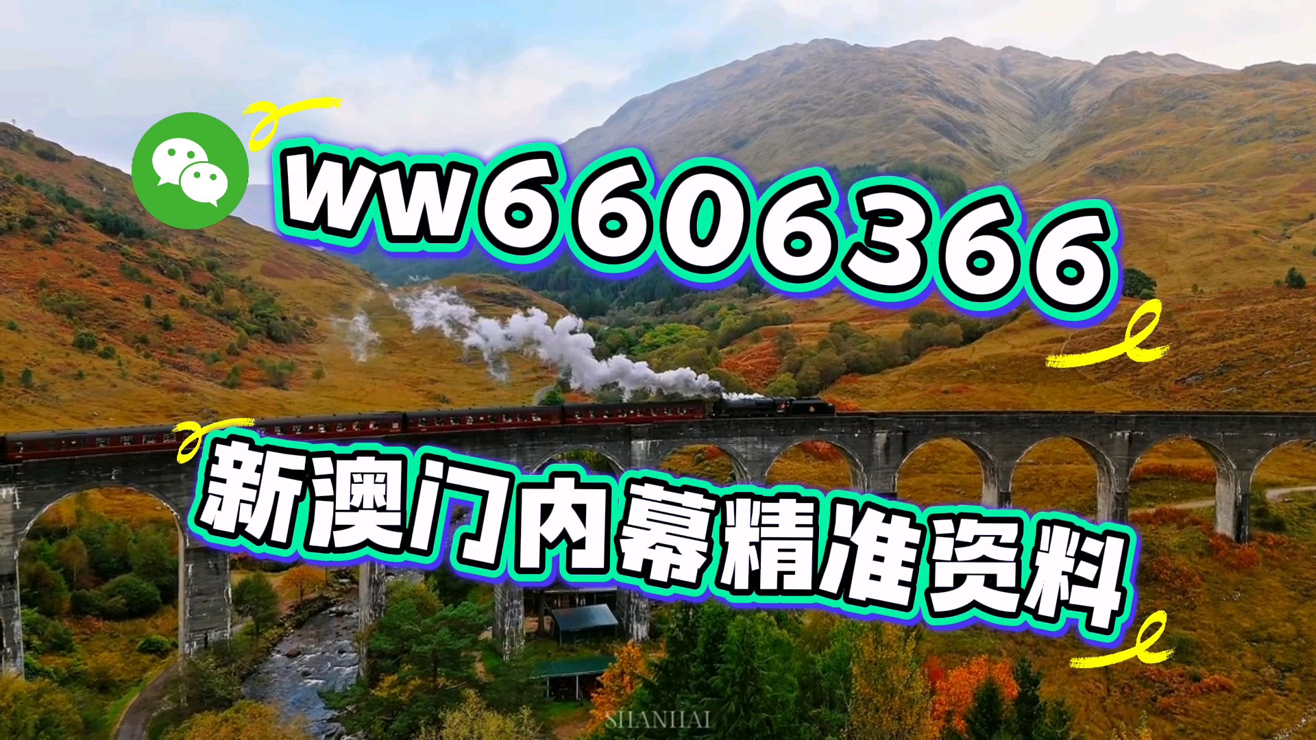 新澳門今晚開獎結果及2021年11月開獎結果回顧，澳門近期開獎結果回顧，今晚開獎及11月開獎一覽