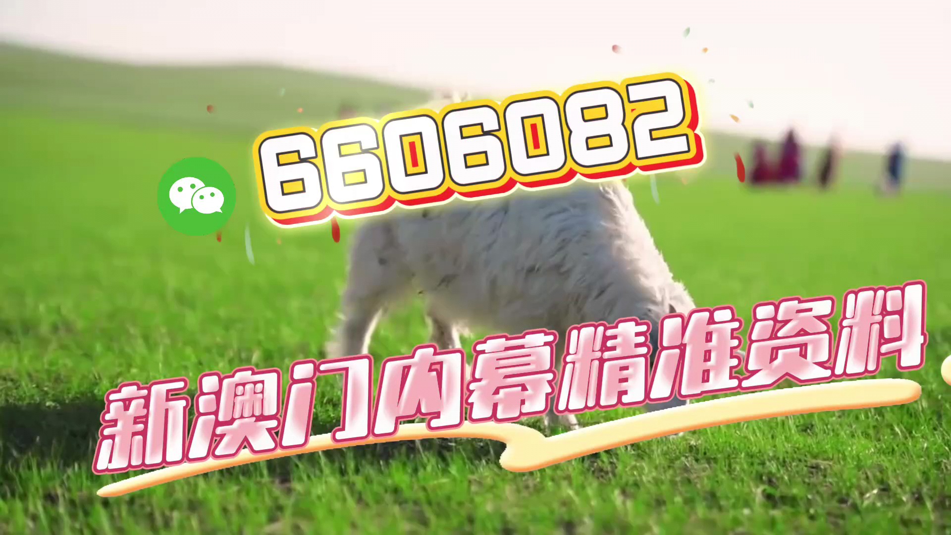 一肖中特免費(fèi)資料選一，揭秘彩票秘密，帶你走向成功之路，揭秘彩票秘密，一肖中特資料助你走向成功之路