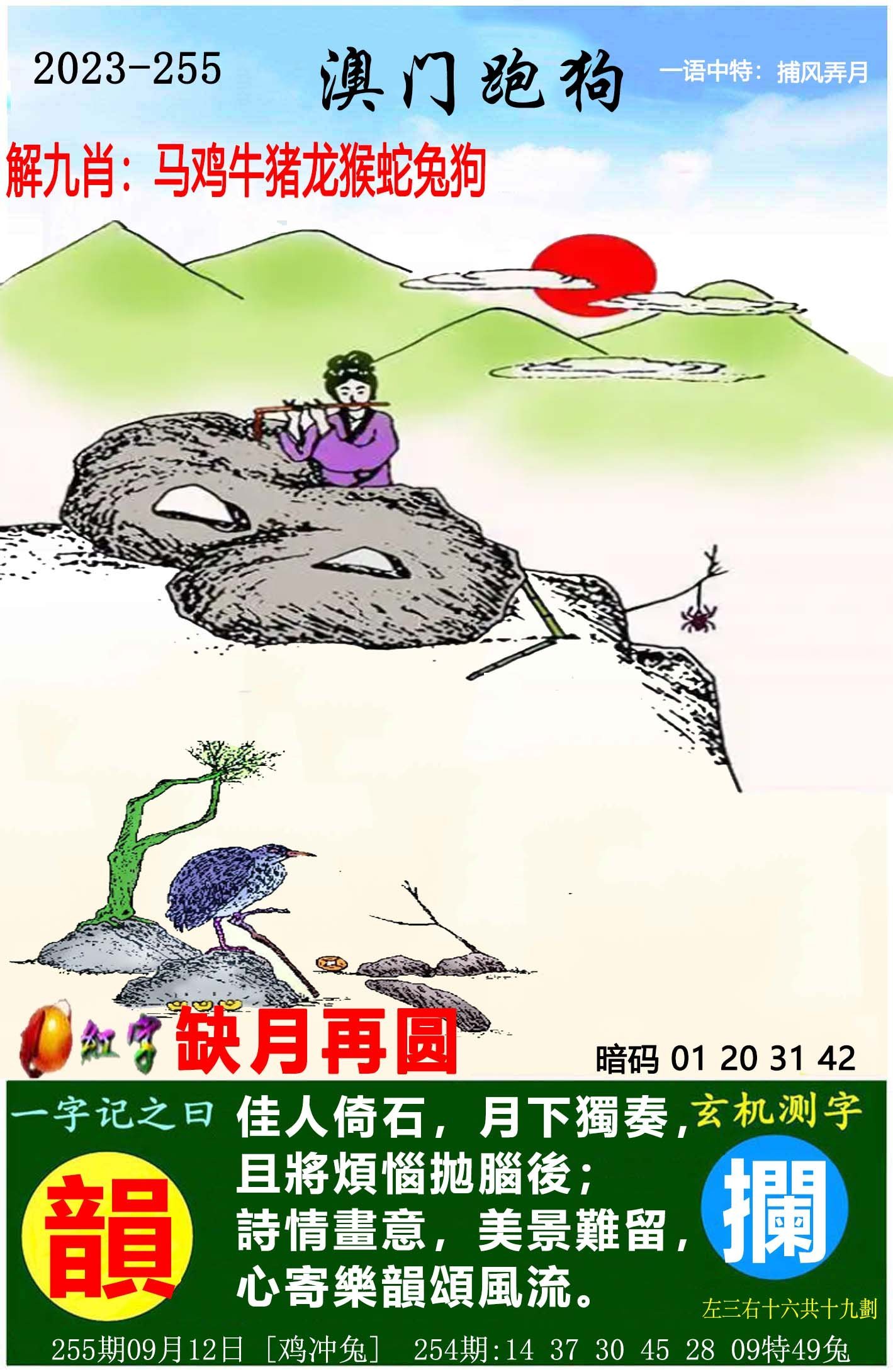 澳門六開獎結(jié)果特馬師——探索與解析，澳門六開獎結(jié)果特馬師解析與探索