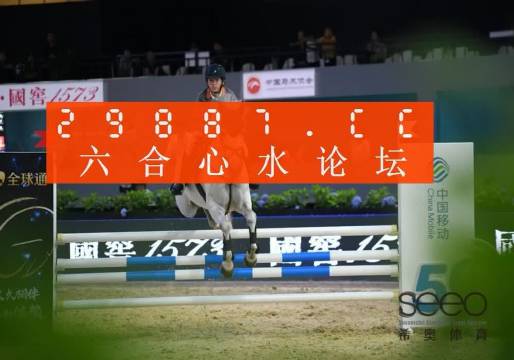 王中王一肖特網(wǎng)資料深度解析，王中王一肖特網(wǎng)資料全面深度解析