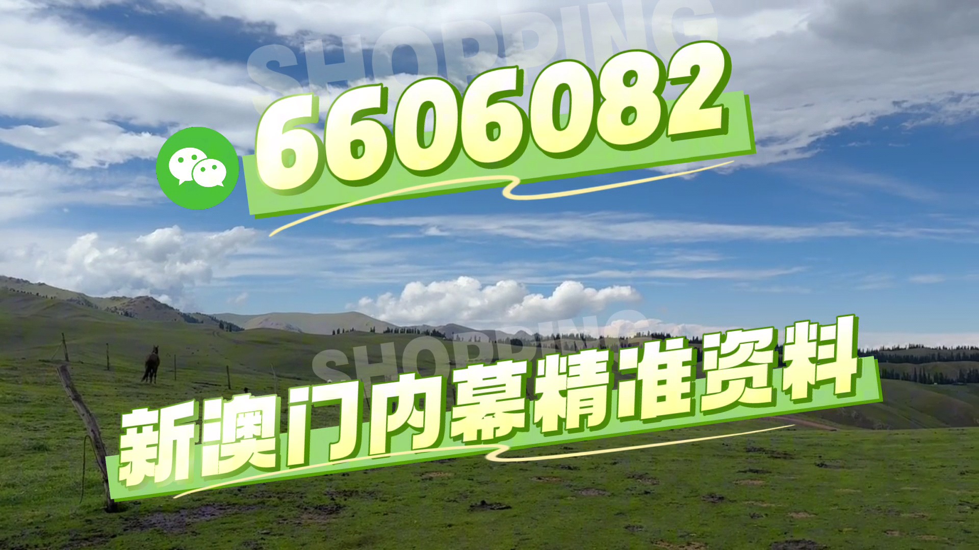 澳門(mén)必開(kāi)一肖二碼，揭秘背后的秘密與策略，澳門(mén)必開(kāi)一肖二碼揭秘，背后的秘密策略與預(yù)測(cè)技巧