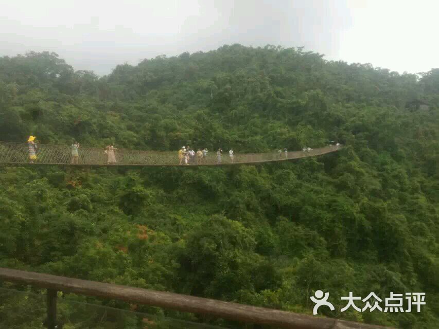 亞龍灣熱帶天堂森林公園景點介紹——探秘?zé)釒ЬG意盎然的自然奇觀，亞龍灣熱帶天堂森林公園探秘，熱帶綠意盎然的自然奇觀景點介紹