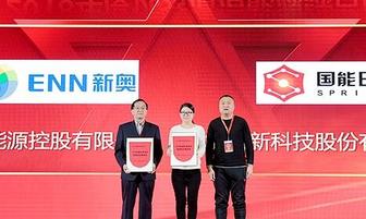 新奧今晚開一肖一特講解詞語，探索生肖與特意的奧秘，新奧生肖夜，揭秘生肖與特意的神秘關(guān)聯(lián)