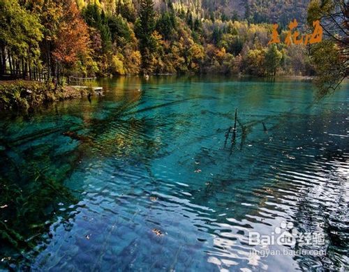 九寨溝風景區(qū)景點詳細介紹，九寨溝風景區(qū)景點全面詳解