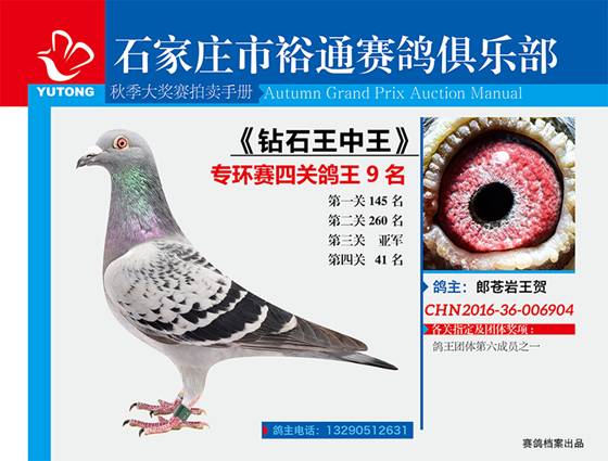 王中王一期一肖特中獎(jiǎng)，揭秘彩票背后的秘密與策略，揭秘彩票背后的秘密與策略，王中王一期一肖特中獎(jiǎng)解析