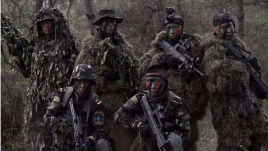 揭秘龍焱特種部隊曝光原因，榮耀與使命的雙重驅(qū)動，揭秘龍焱特種部隊曝光原因，榮耀與使命的雙重驅(qū)動下的力量展現(xiàn)