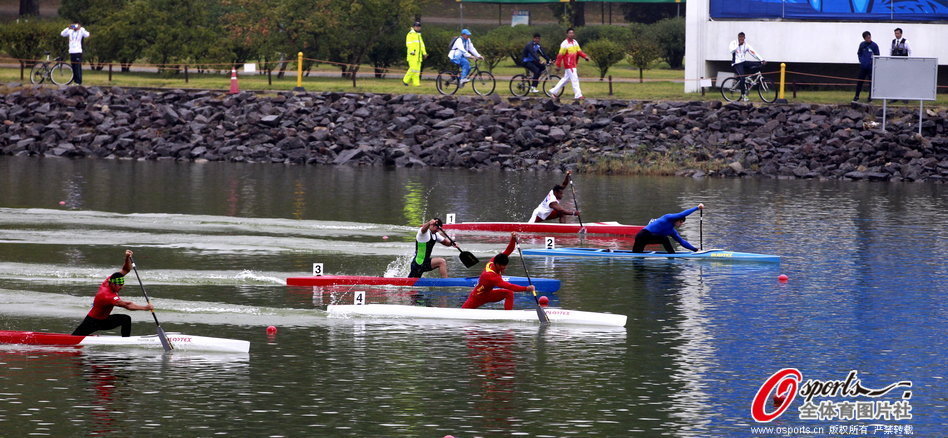 王中王一肖一馬期期中特，深度解析與SEO優(yōu)化策略，王中王一肖一馬期期中特深度解析與SEO優(yōu)化策略指南