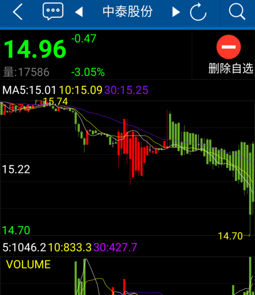 中泰股份股吧深度解析，投資潛力與未來發(fā)展展望，中泰股份股吧解析及投資潛力與未來發(fā)展展望