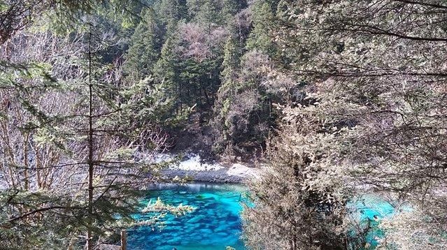 重慶到九寨溝跟團(tuán)游價(jià)格全解析，重慶到九寨溝跟團(tuán)游費(fèi)用全面解析