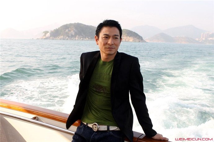 劉德華個(gè)人資料簡介及其生涯概述，劉德華個(gè)人資料與職業(yè)生涯概述