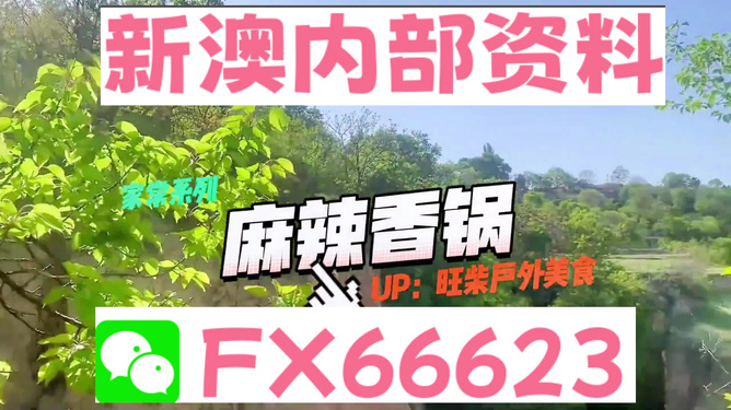 新澳精準(zhǔn)資料免費(fèi)提供，探索與實(shí)踐的指南，新澳精準(zhǔn)資料免費(fèi)分享，探索與實(shí)踐的導(dǎo)航指南