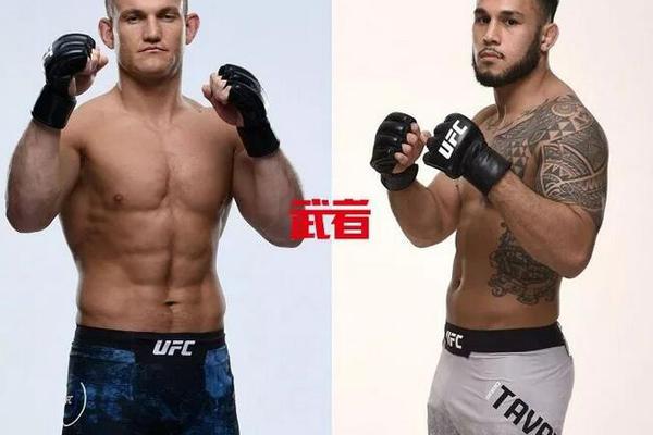 澳門六開獎(jiǎng)結(jié)果記錄圖，探索彩票背后的秘密，澳門六開獎(jiǎng)結(jié)果記錄圖揭秘彩票背后的秘密