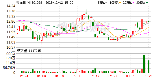 玉龍股份股吧，深度解析與前景展望，玉龍股份股吧深度解析及前景展望