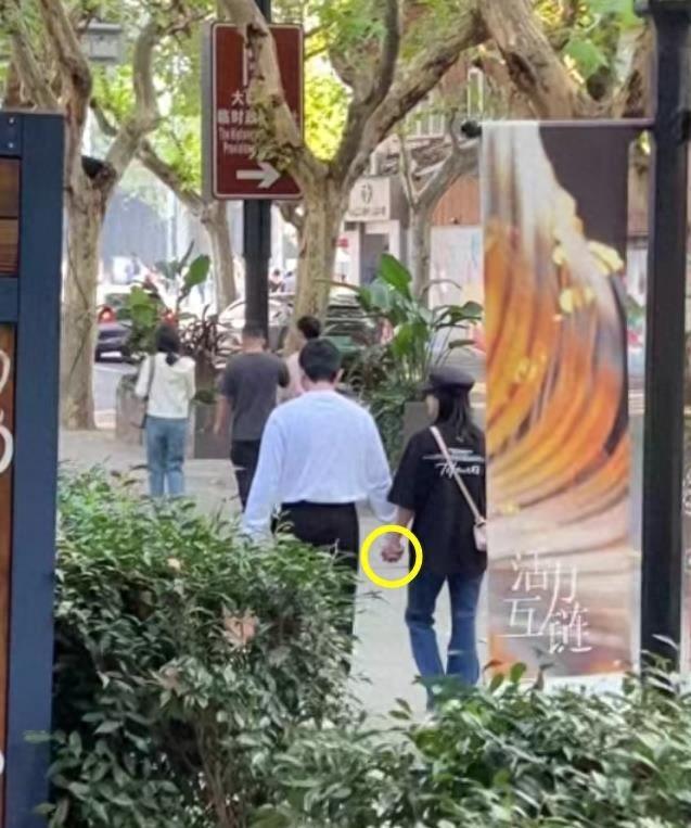 鮑蕾個人資料圖片，深度解析與探索，鮑蕾個人資料圖片，深度探究與揭秘