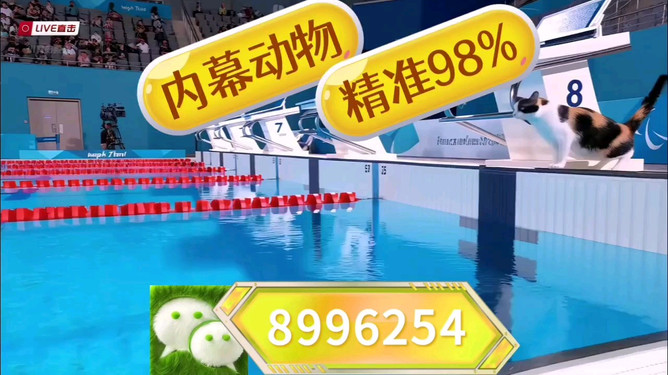 澳門(mén)王中王，揭秘期期中秘密，探尋博彩世界的新機(jī)遇，澳門(mén)王中王，揭秘博彩世界的新機(jī)遇與期期中秘密