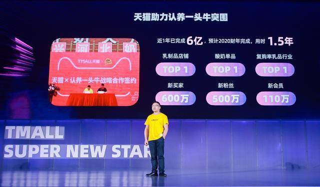 王中王357期指一生肖，深度解讀與SEO優(yōu)化策略，王中王357期生肖深度解讀與SEO優(yōu)化策略指南